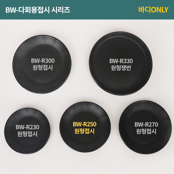 BW-R250 다회용접시-중